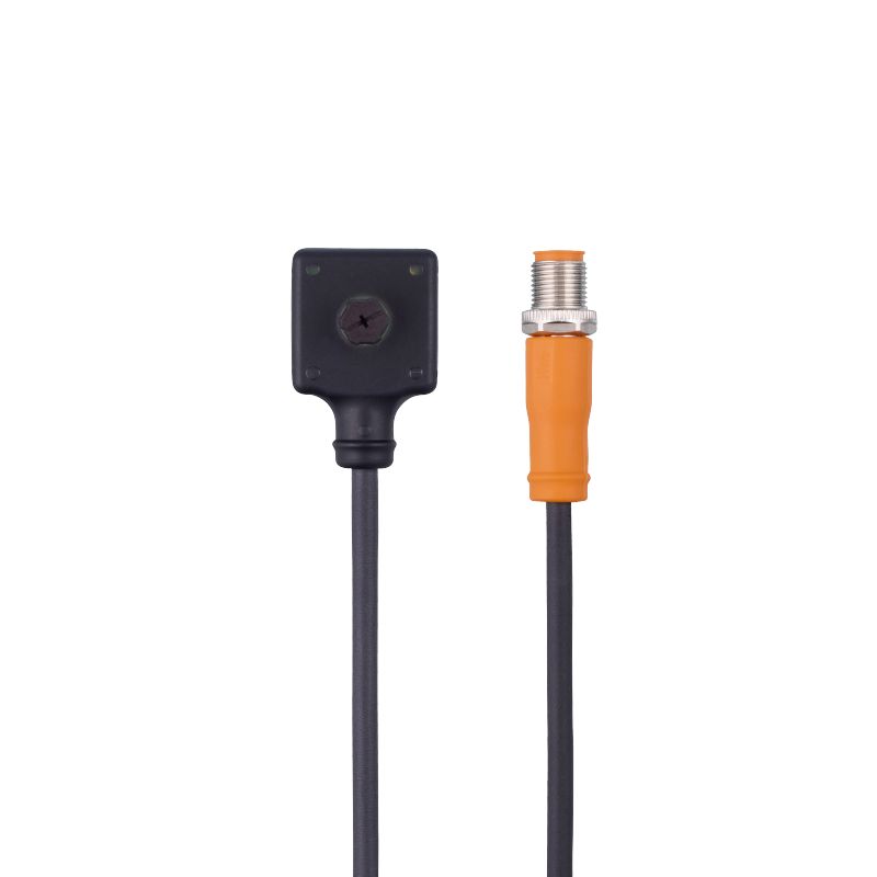EVCB06